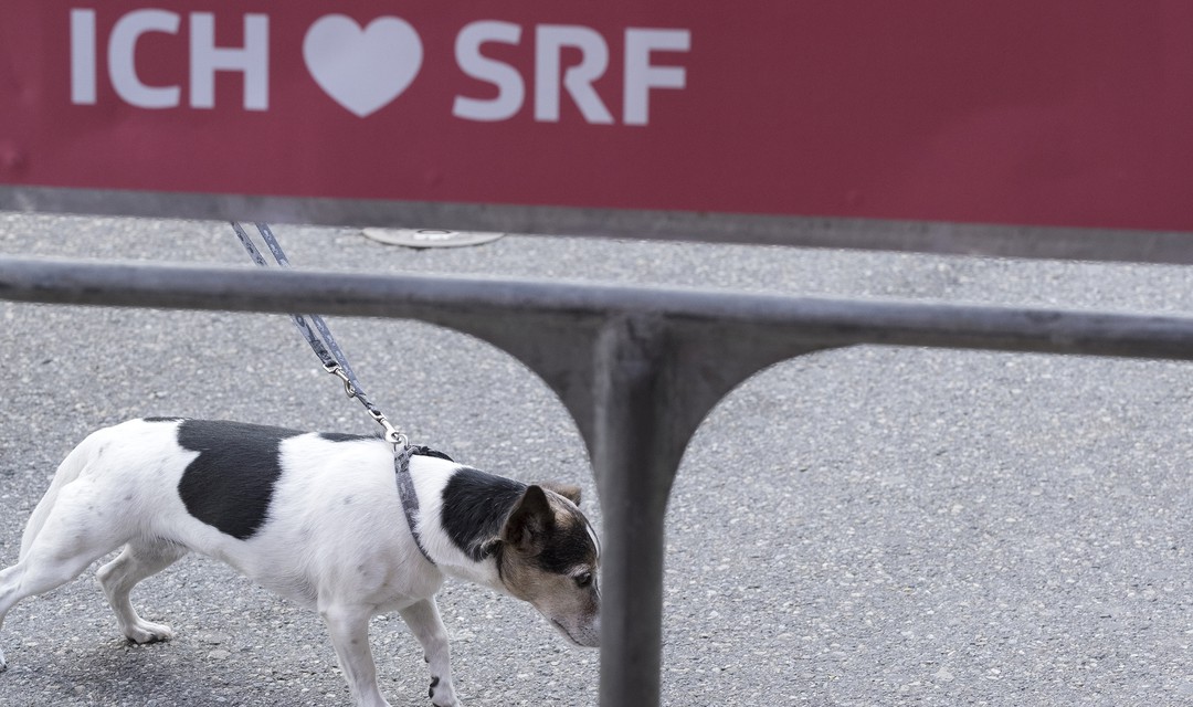 Bild von Fotogalerie SRG bi de Lüt in Baden