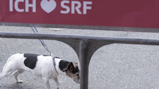 Bild von Fotogalerie SRG bi de Lüt in Baden